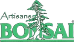 Artisan's Bonsai