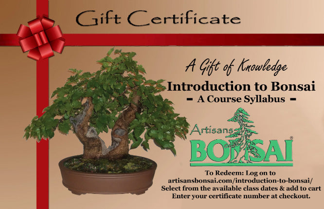 giving a bonsai tree as a gift Introduction to Bonsai Gift Card – Artisan's Bonsai