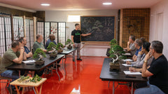 Artisans Bonsai School