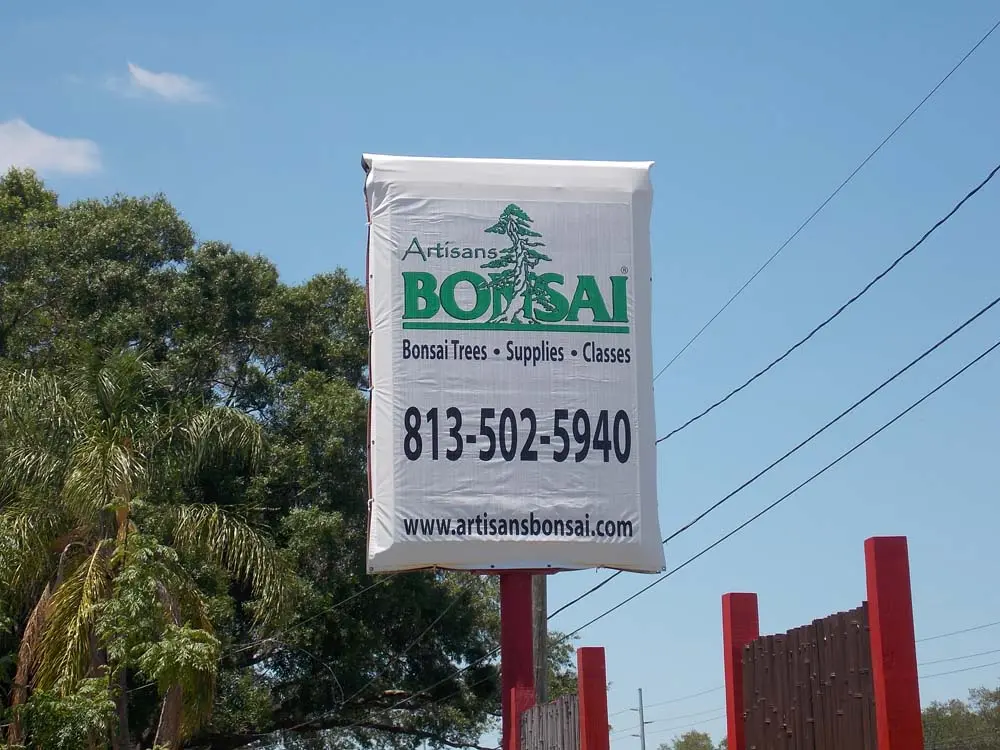 artisansbonsai
