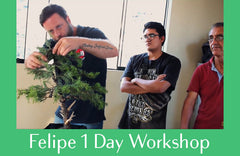 Master Felipe 1 Day Workshop