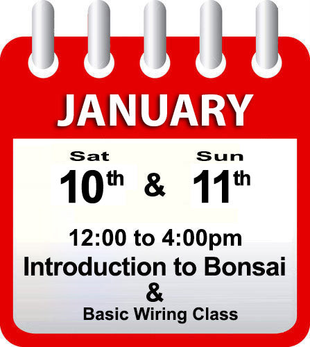 Introduction to Bonsai - January 10th & 11th 2026