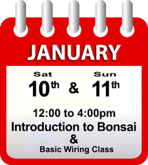 Introduction to Bonsai - January 10th & 11th 2026