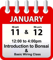 Introduction to Bonsai - January 11th & 12th 2026