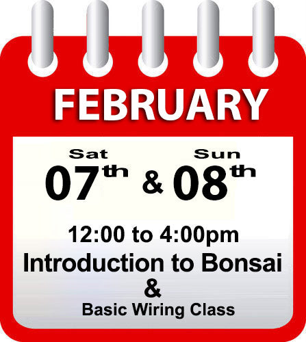 Introduction to Bonsai - February 7th & 8th 2026