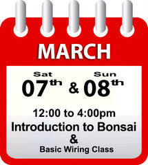 Introduction to Bonsai - March 7th & 8th 2026