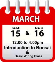 Introduction to Bonsai - March 15th & 16th 2025