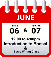 Introduction to Bonsai - June 06th & 07th 2026