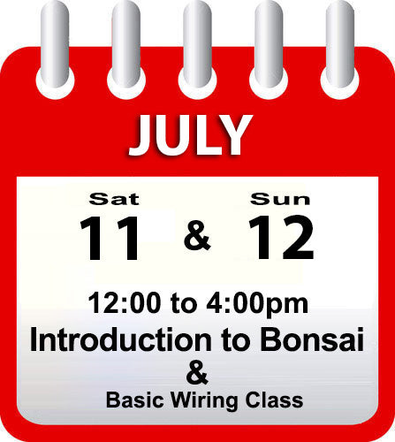 Introduction to Bonsai - July 11th & 12th 2026