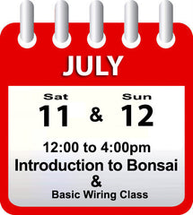 Introduction to Bonsai - July 11th & 12th 2026