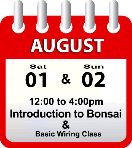 Introduction to Bonsai - August 01st & 02nd 2026