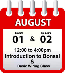 Introduction to Bonsai - August 01st & 02nd 2026