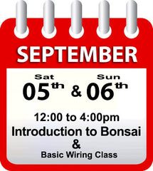 Introduction to Bonsai - September 05th & 06th 2026