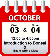 Introduction to Bonsai - October 3rd & 4th 2026