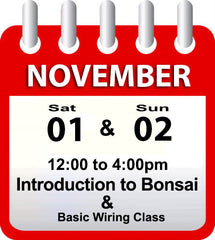 Introduction to Bonsai - November 1st & 2nd 2025