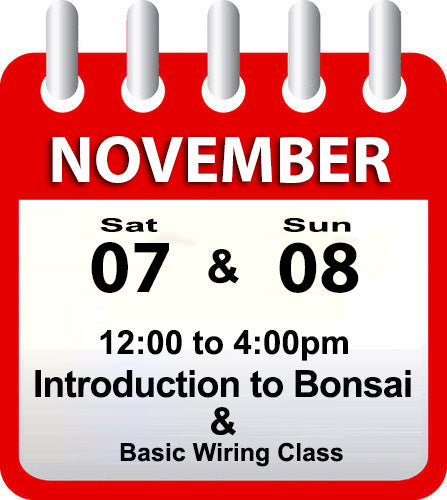Introduction to Bonsai - November 7th & 8th 2026