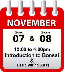 Introduction to Bonsai - November 7th & 8th 2026
