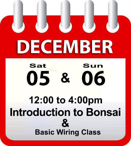Introduction to Bonsai - December 5th & 6th 2026