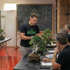 Artisans Bonsai School