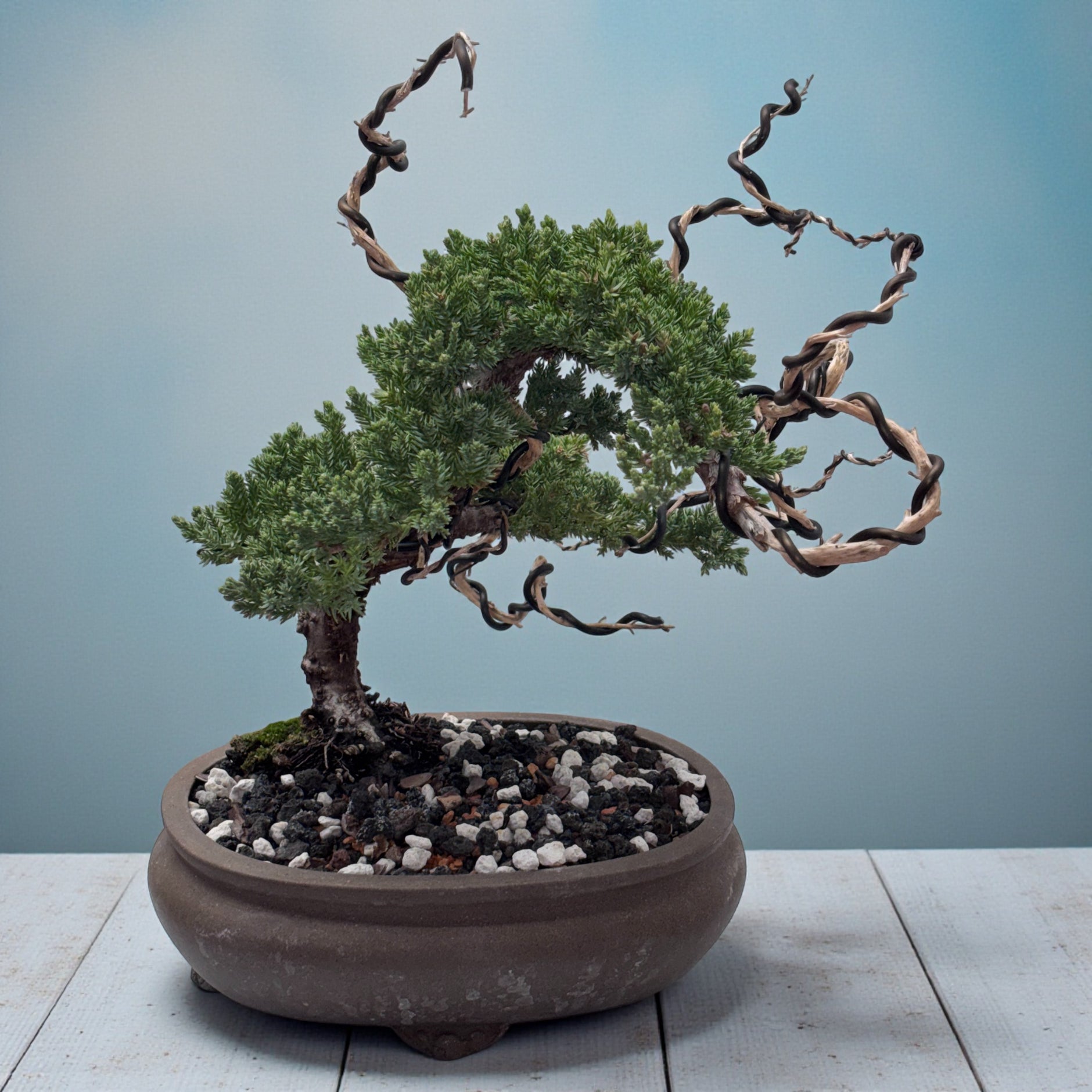 buy a bonsai tree near me Nearly Natural Cherry Blossom Bonsai Silk Tree, Pink main image 1