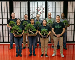 Artisans Bonsai School