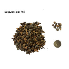 succulent soil for bonsai Succulent Soil Mix (5.5 pH) – Artisan's Bonsai