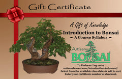 send a bonsai tree gift Introduction to Bonsai Gift Card – Artisan's Bonsai